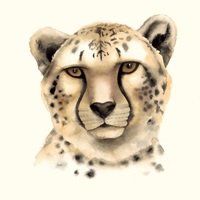 Safari Cat IV image thumbnail