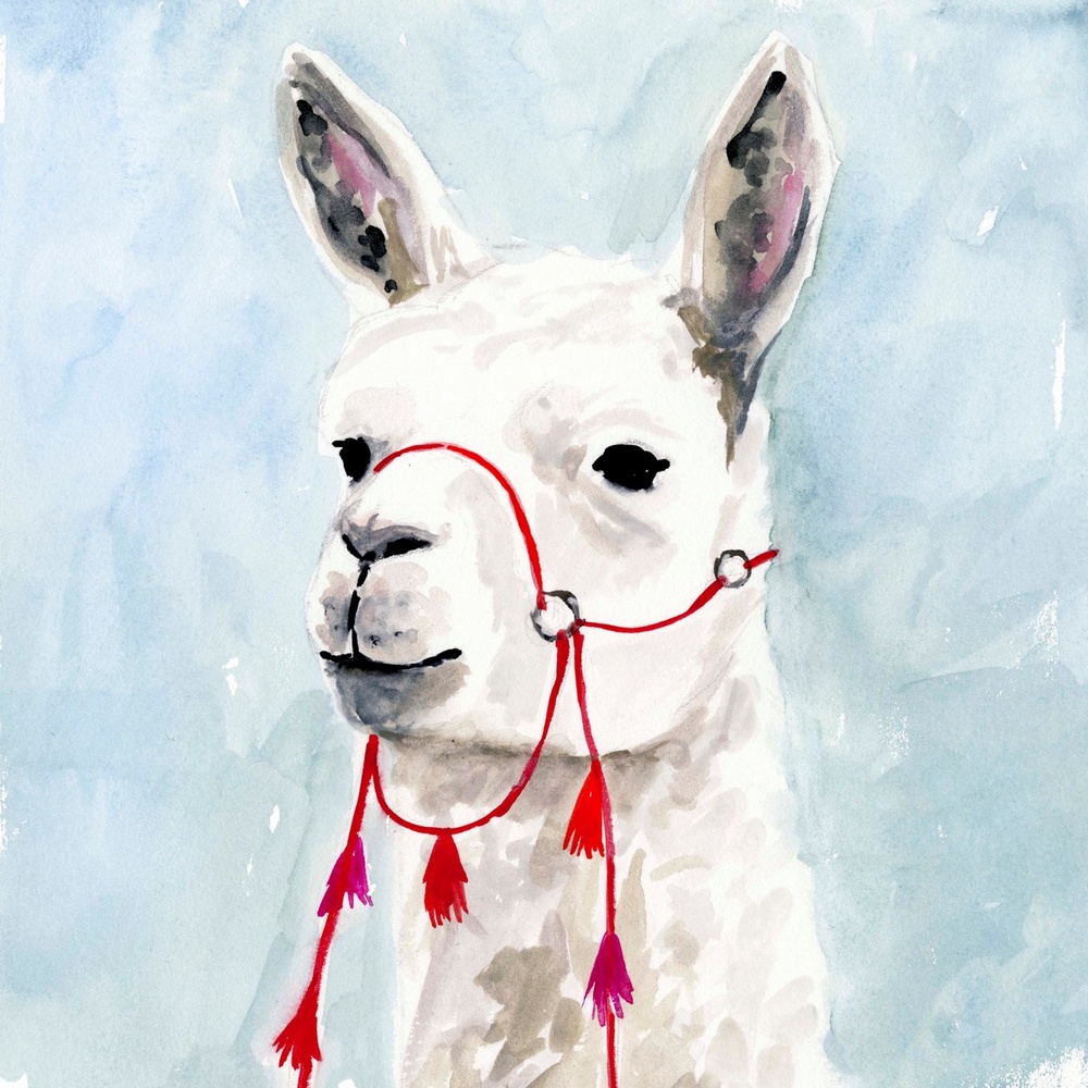 Llama Painting Alpaca store Artwork Original O