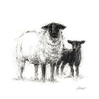Charcoal Sheep Study II image thumbnail