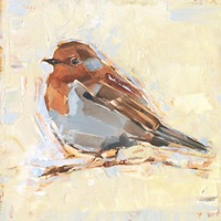 Bird Variety I image thumbnail