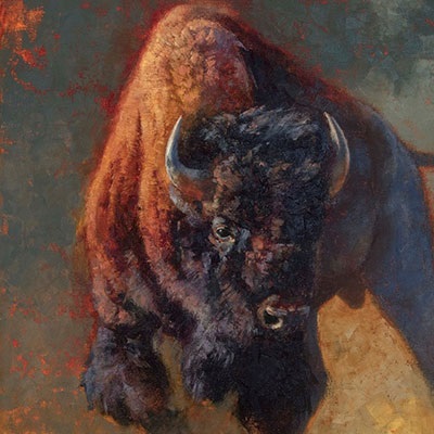 Bison and Buffalo