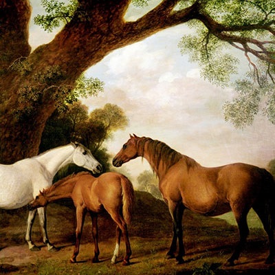George Stubbs